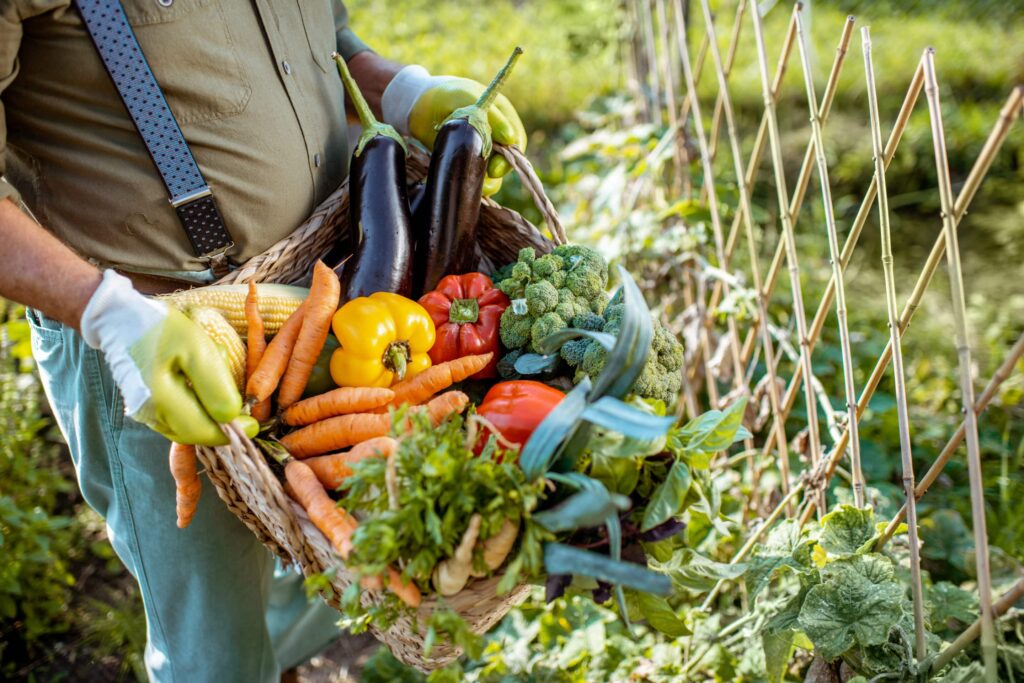 Légumes : les prix chutent à l’encan, mais les consommateurs continuent de payer le prix fort