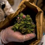 Fanchin Joseph Luc Renaud, 73 ans arrêté avec du hashish estimé à Rs 2,7 millions