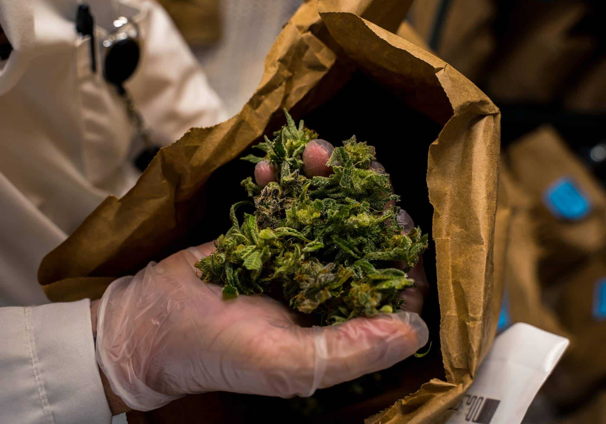 What-is-Hash-Hashish