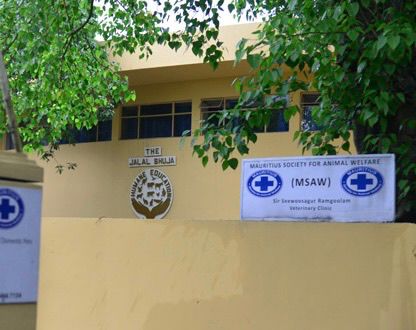 Dr Marie Claire Domaingue nommée présidente du Mauritius Society for Animal Welfare Council