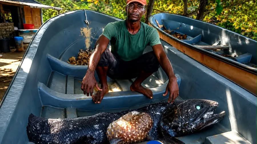 Comores : 2 pêcheurs remontent par hasard un poisson fossile vieux de 400 millions d’années