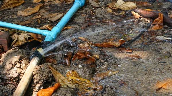 KOREK! passe à la vitesse supérieure : l’intelligence artificielle bientôt au service de la détection des fuites d’eau