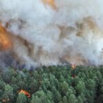 France : les incendies ravagent la forêt de Fontainebleau, des évacuations et des perturbations majeures au sud de Paris