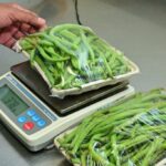 12 412 instruments vérifiés en un an : le Legal Metrology Services accélère sa modernisation