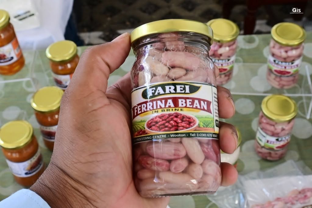 Agro : la variété de haricot « Ferrina » mise en avant pour ses atouts nutritionnels et agricoles