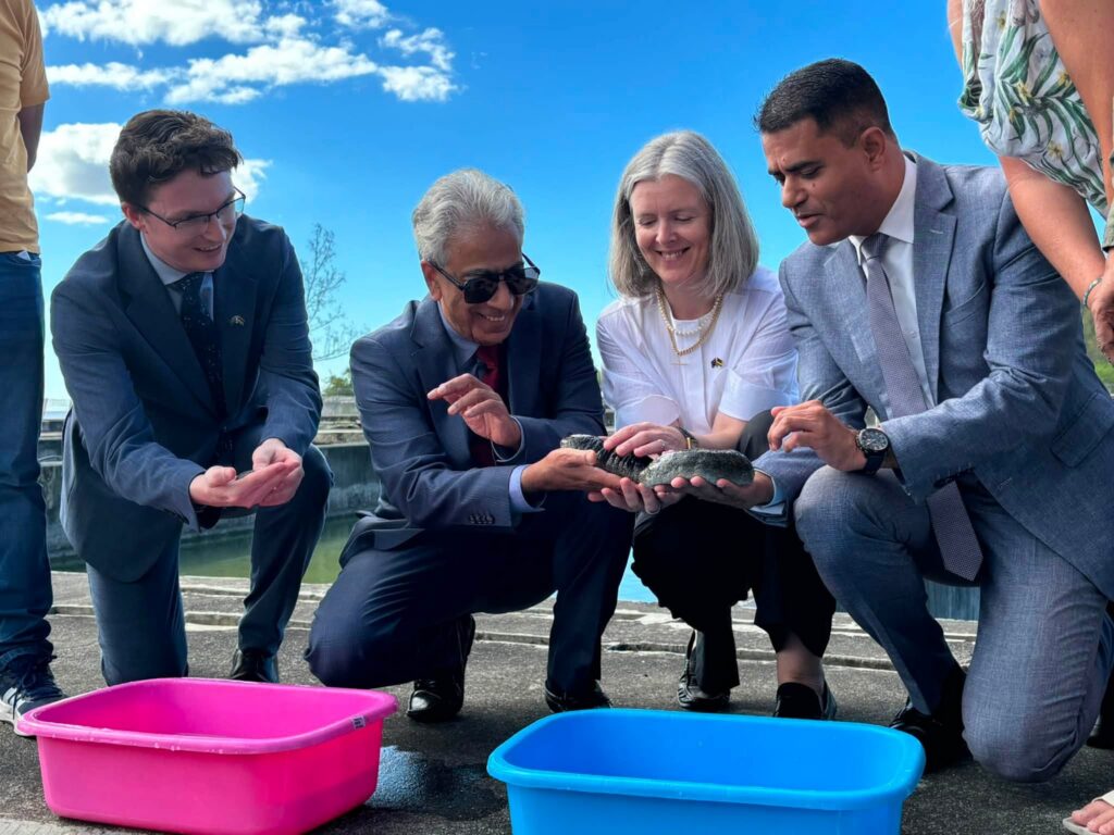 Concombres de mer : 800 juvéniles bientôt introduits dans les eaux mauriciennes