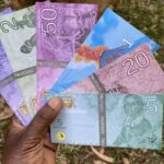 Tikatsou : la petite monnaie péi qui veut changer la façon de consommer