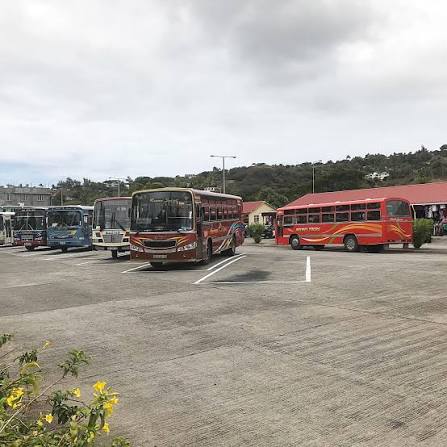 bus